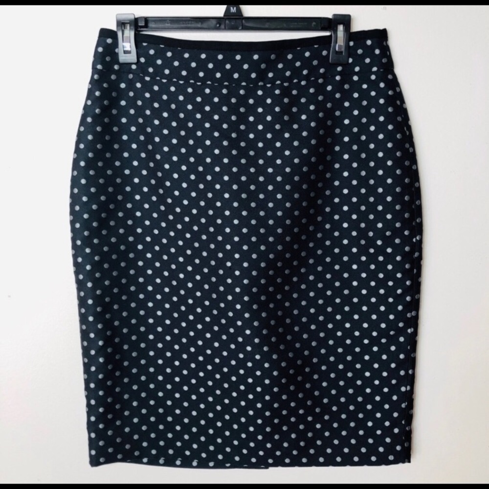 Ann Taylor Pencil Skirt
